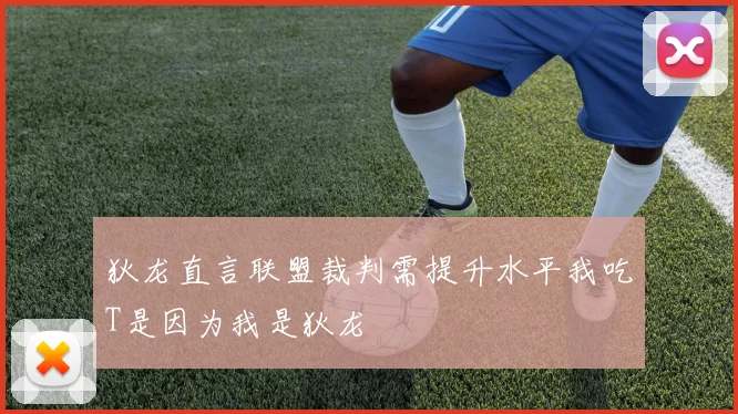 狄龙直言联盟裁判需提升水平我吃T是因为我是狄龙