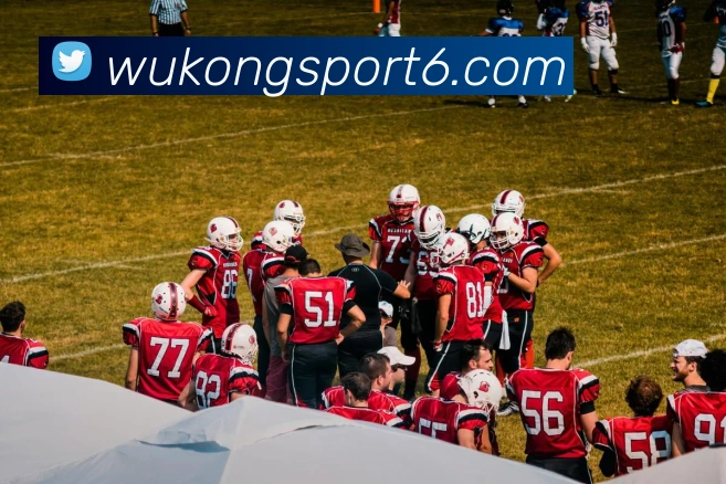 App Interface Preview