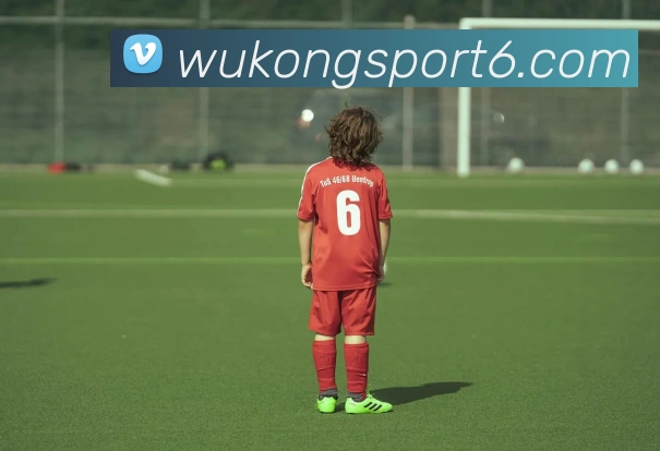 悟空体育APP 封面图